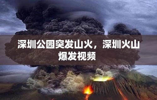 深圳公園突發(fā)山火，深圳火山爆發(fā)視頻 