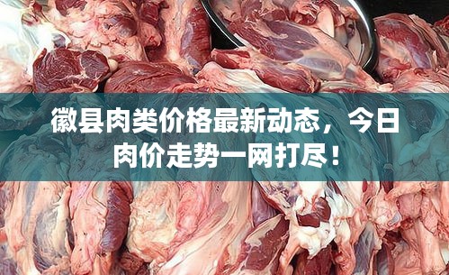 徽縣肉類價(jià)格最新動態(tài)，今日肉價(jià)走勢一網(wǎng)打盡！