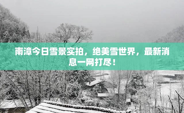 南漳今日雪景實拍，絕美雪世界，最新消息一網(wǎng)打盡！