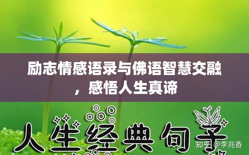 勵(lì)志情感語錄與佛語智慧交融，感悟人生真諦