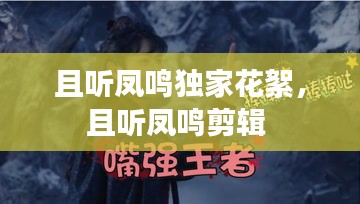 且聽鳳鳴獨(dú)家花絮，且聽鳳鳴剪輯 