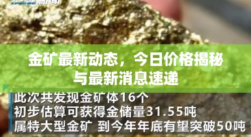 金礦最新動(dòng)態(tài)，今日價(jià)格揭秘與最新消息速遞