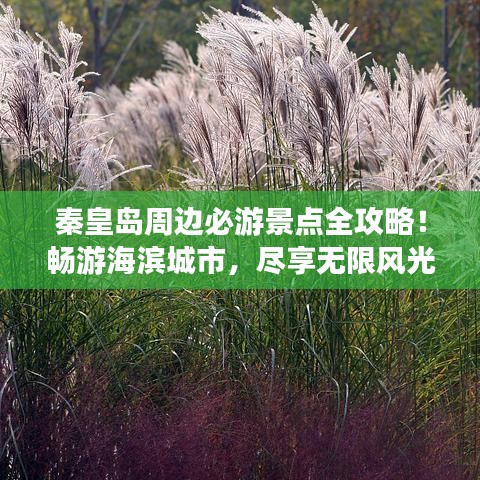 秦皇島周邊必游景點全攻略！暢游海濱城市，盡享無限風光