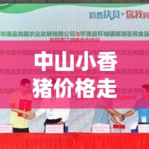 中山小香豬價(jià)格走勢(shì)大揭秘，最新行情分析！