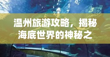 溫州旅游攻略，揭秘海底世界的神秘之旅