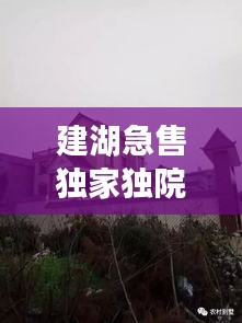 建湖急售獨家獨院，建湖哪里有30到40萬的房子 