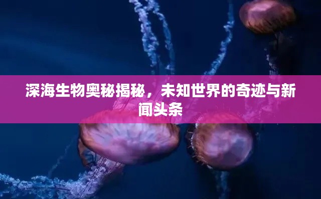 深海生物奧秘揭秘，未知世界的奇跡與新聞?lì)^條