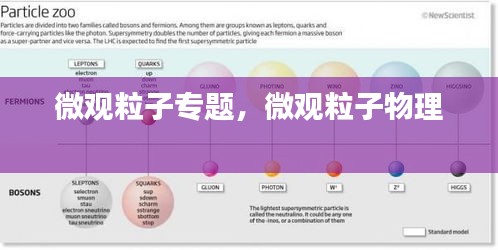 微觀粒子專題，微觀粒子物理 