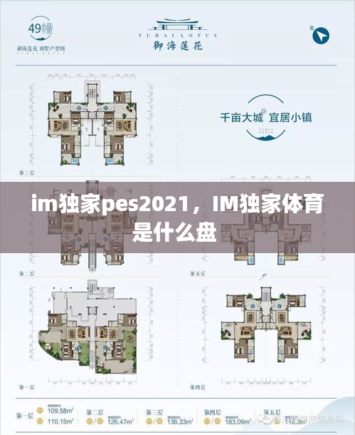 im獨(dú)家pes2021，IM獨(dú)家體育是什么盤(pán) 