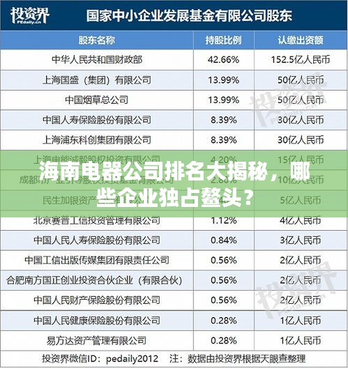 海南電器公司排名大揭秘，哪些企業(yè)獨占鰲頭？