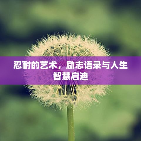 忍耐的藝術(shù)，勵(lì)志語(yǔ)錄與人生智慧啟迪