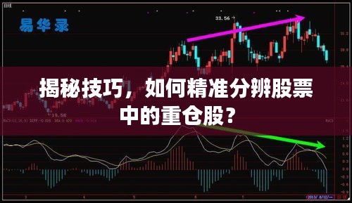 揭秘技巧，如何精準(zhǔn)分辨股票中的重倉(cāng)股？