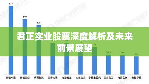 君正實(shí)業(yè)股票深度解析及未來前景展望