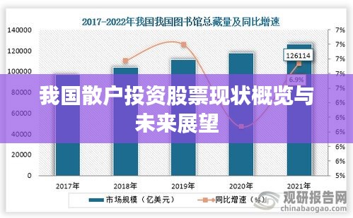 我國(guó)散戶投資股票現(xiàn)狀概覽與未來(lái)展望