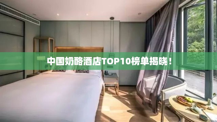 中國奶酪酒店TOP10榜單揭曉！