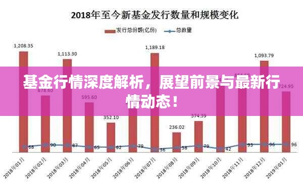 基金行情深度解析，展望前景與最新行情動(dòng)態(tài)！