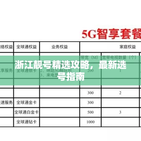 浙江靚號(hào)精選攻略，最新選號(hào)指南