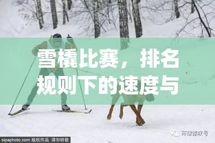 雪橇比賽，排名規(guī)則下的速度與激情角逐