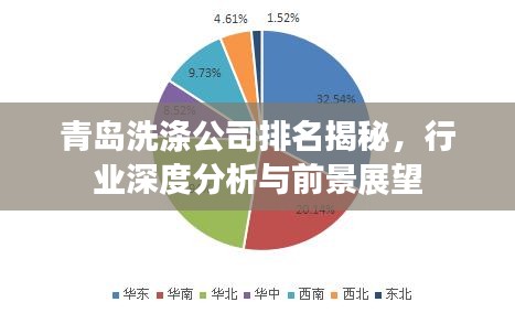 青島洗滌公司排名揭秘，行業(yè)深度分析與前景展望