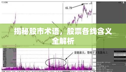 揭秘股市術語，股票各線含義全解析