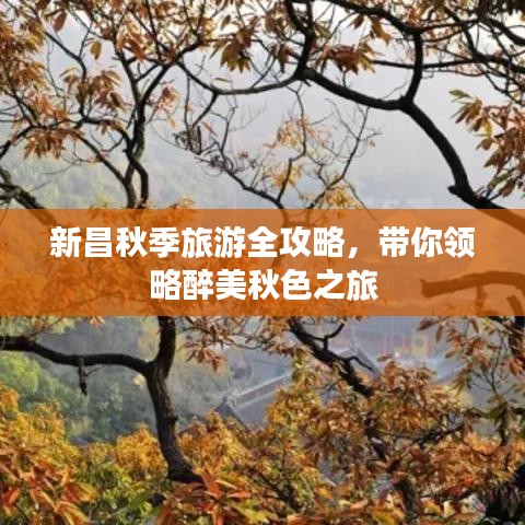 新昌秋季旅游全攻略，帶你領略醉美秋色之旅