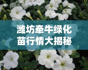 濰坊牽牛綠化苗行情大揭秘，最新價(jià)格分析與趨勢(shì)預(yù)測(cè)