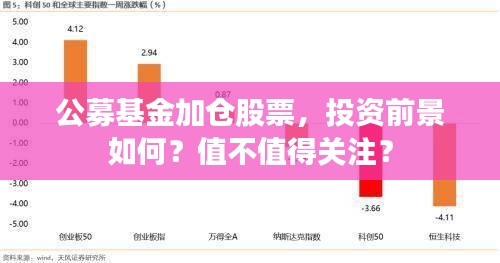 公募基金加倉(cāng)股票，投資前景如何？值不值得關(guān)注？