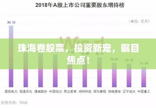 珠海卷股票，投資新寵，矚目焦點(diǎn)！