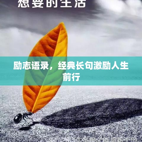 勵(lì)志語(yǔ)錄，經(jīng)典長(zhǎng)句激勵(lì)人生前行