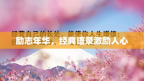 勵志年華，經(jīng)典語錄激勵人心