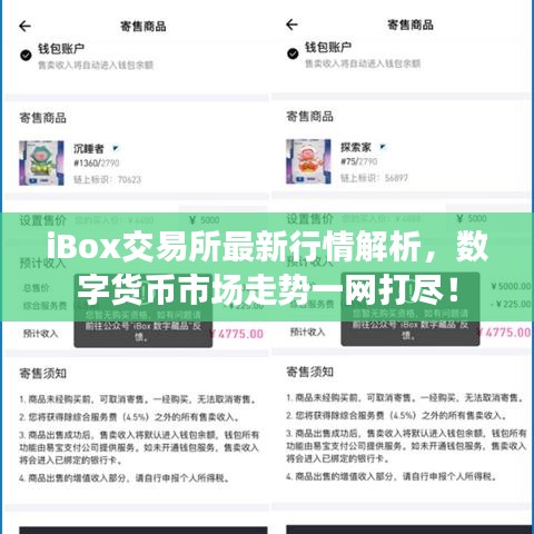 iBox交易所最新行情解析，數(shù)字貨幣市場走勢一網(wǎng)打盡！