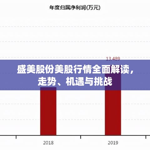 盛美股份美股行情全面解讀，走勢、機遇與挑戰(zhàn)