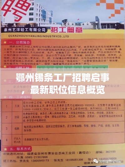 鄂州錫條工廠招聘啟事，最新職位信息概覽