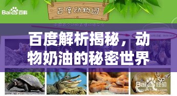 百度解析揭秘，動(dòng)物奶油的秘密世界！