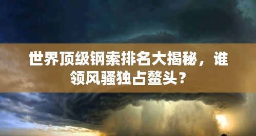 世界頂級(jí)鋼索排名大揭秘，誰(shuí)領(lǐng)風(fēng)騷獨(dú)占鰲頭？