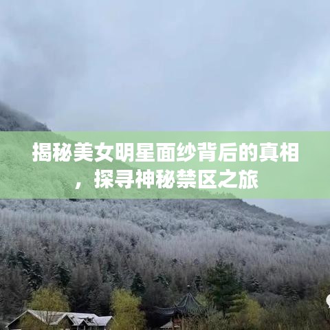 揭秘美女明星面紗背后的真相，探尋神秘禁區(qū)之旅