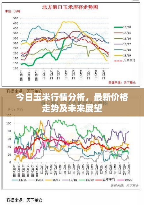 今日玉米行情分析，最新價(jià)格走勢(shì)及未來展望