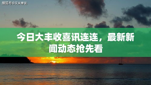 今日大豐收喜訊連連，最新新聞動(dòng)態(tài)搶先看