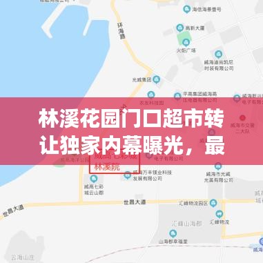 林溪花園門口超市轉讓獨家內幕曝光，最新消息揭秘重磅交易！