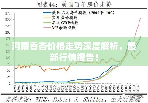 河南香杏價格走勢深度解析，最新行情報告！