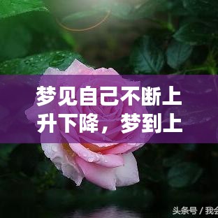 夢(mèng)見(jiàn)自己不斷上升下降，夢(mèng)到上升然后極速下落 