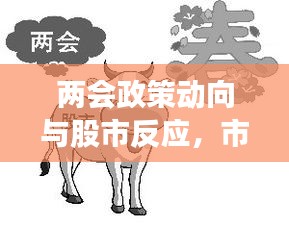 兩會政策動向與股市反應(yīng)，市場走勢揭秘，投資機(jī)會前瞻