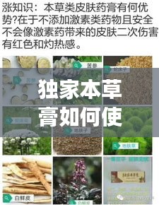 獨(dú)家本草膏如何使用，獨(dú)家本草膏有副作用嗎 