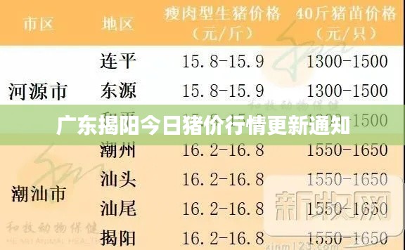 廣東揭陽今日豬價(jià)行情更新通知