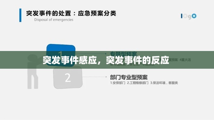 突發(fā)事件感應(yīng)，突發(fā)事件的反應(yīng) 