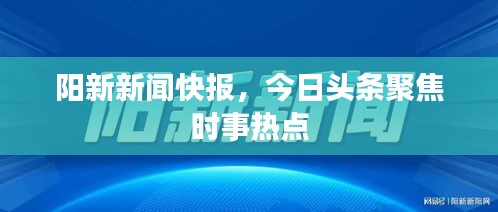 陽新新聞快報，今日頭條聚焦時事熱點