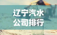 遼寧汽水公司排行榜揭曉，誰領(lǐng)風(fēng)騷？