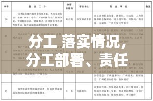 分工 落實情況，分工部署、責任落實 