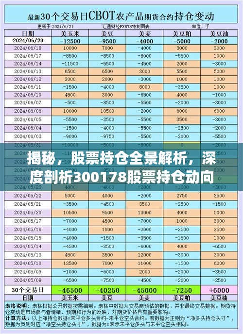 揭秘，股票持倉全景解析，深度剖析300178股票持倉動向