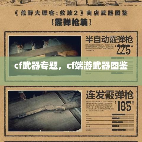 cf武器專題，cf端游武器圖鑒 